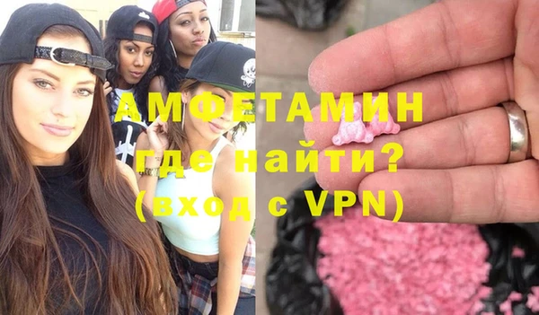 прущие грибы Каменногорск