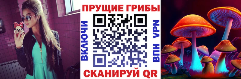 Галлюциногенные грибы мицелий  Евпатория 