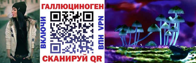 Псилоцибиновые грибы Psilocybe Евпатория