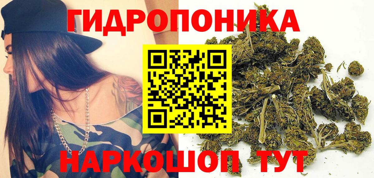 Конопля сатива  Конопля Bruce Banner  Вход с VPN  Бошки Шишки план  Евпатория  Каннабис Amnesia 